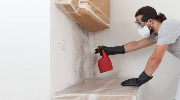 Professional Basement Mold Remediation technician working in Tucker, GA