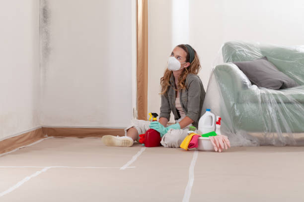 Reliable Basement Mold Remediation contractor in Tucker, GA by Mold Remediation HQ